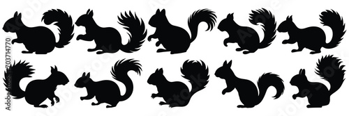 Squirrel silhouettes set  large pack of vector silhouette design  isolated white background