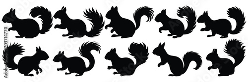 Squirrel silhouettes set, large pack of vector silhouette design, isolated white background