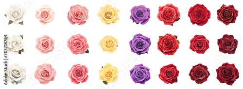 set of flowers top view. roses in collor of red, pink, white, yellow, purple. isolated on a white background. photo