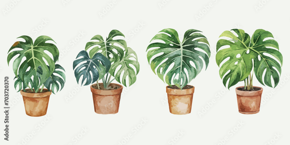 Fototapeta premium set of watercolor monstera potted on white background