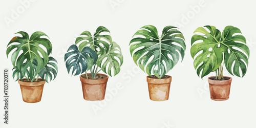 set of watercolor monstera potted on white background