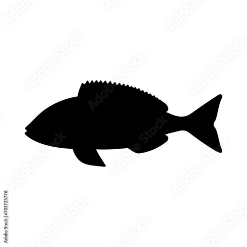 Tropical Fish Silhouette Illustration On Isolated Background