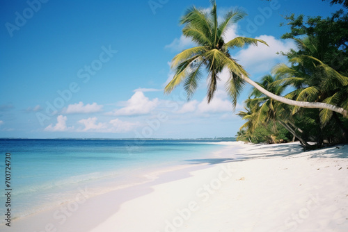 A tropical beach with white sand, palm trees, and clear blue water.