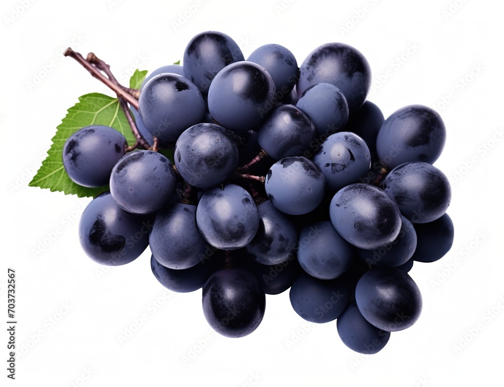 A bunch of ripe Concord grapes with green leaves isolated on white background A bunch of ripe Concord grapes with green leaves isolated on white background