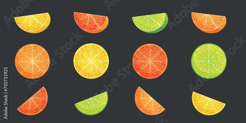 Slices of different citruses: lime, lemon, grapefruit, orange isolated on grey background. Vector illustration for decorative poster, natural product emblem, farmers market photo