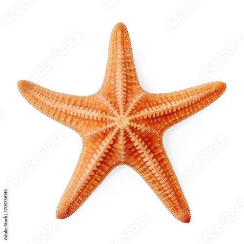 Starfish on sand isolated on transparent or white background, png