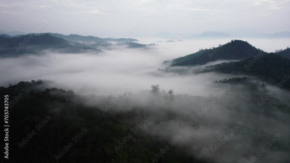 Morning sun breaks through the trees in misty forest. Aerial shot of sun rays in fir tree forest Morning sun breaks through the trees in misty forest. Aerial shot of sun rays in fir tree forest