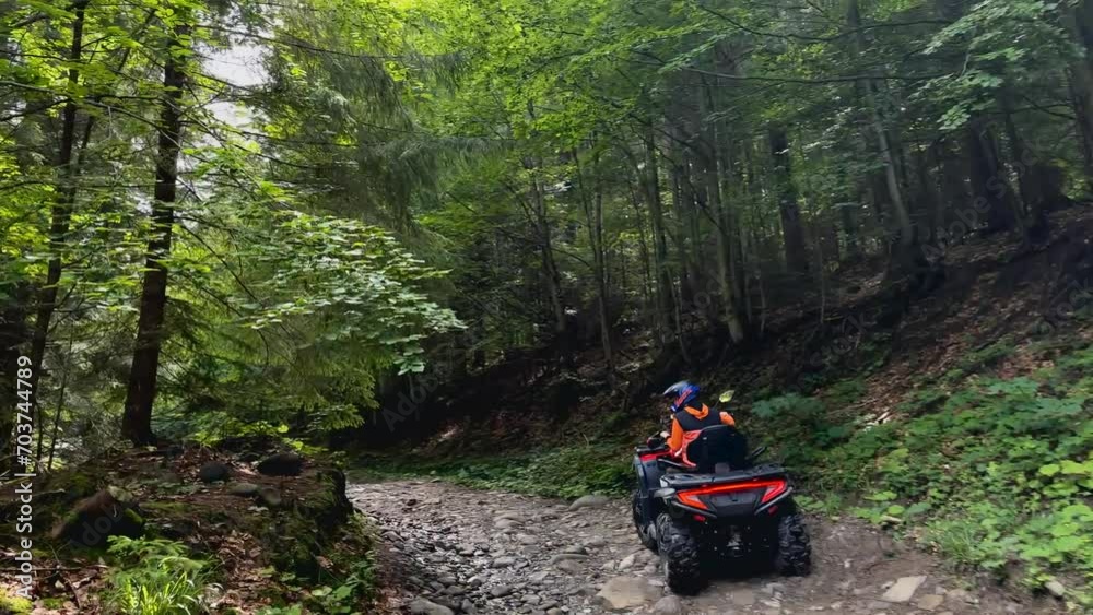 A man rides an ATV on a dirt road in the middle of a forest on a ...