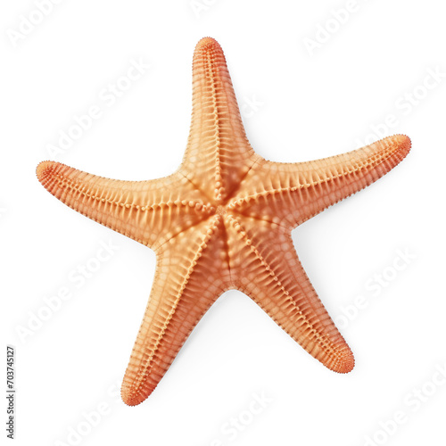 Starfish on sand isolate on transparency background png 