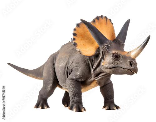 triceratops dinosaur isolated on white © Animaflora PicsStock