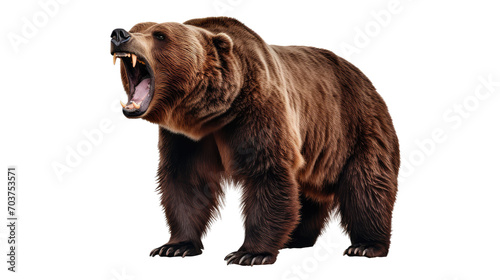  Ferocious brown grizzly bear on a transparent background (PNG) © PNG City