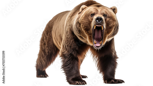  Ferocious brown grizzly bear on a transparent background (PNG) photo