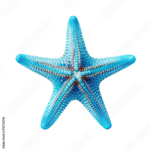 white starfish isolated on transparent background cutout