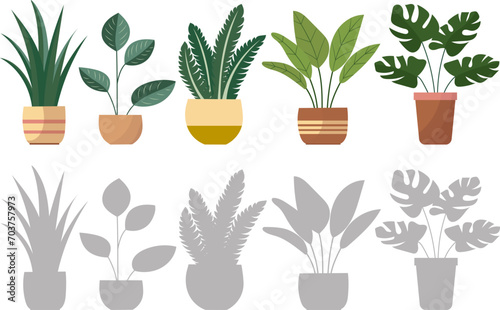 indoor plants in flowerpots vector