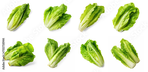 Set romaine lettuce vegetable isolate on transparency background png 