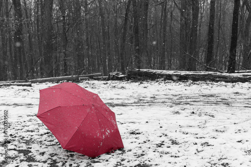 A red umbrella during snowfall at the edge of a forest