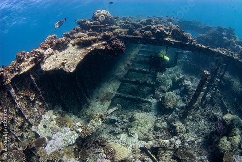 An underwater scene in the Red Sea featuring a scuba diver exploring the renowned Kingston shipwreck  enveloped by thriving coral reefs and teeming marine life