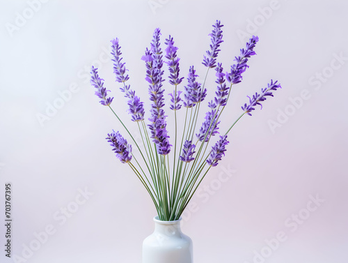 lavender flower in studio background  single lavender flower  Beautiful flower images