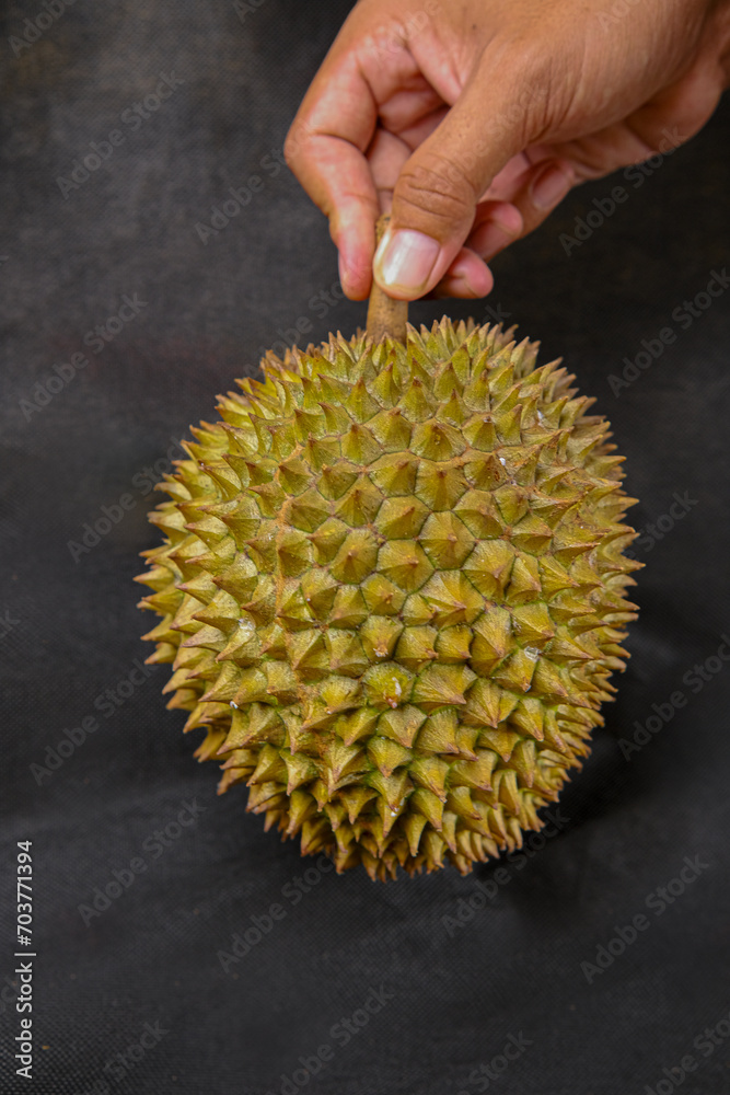 Durian Durian