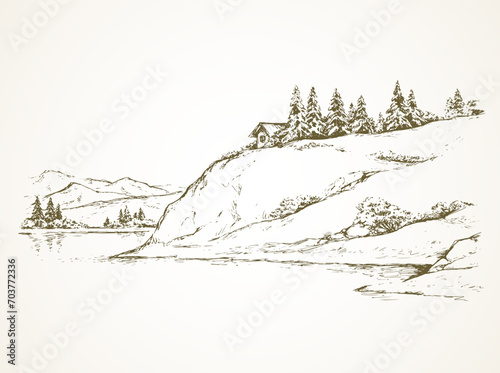 Firs on hill above river. Vector drawing