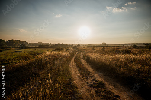 A country road in a field in the golden rays of dawn