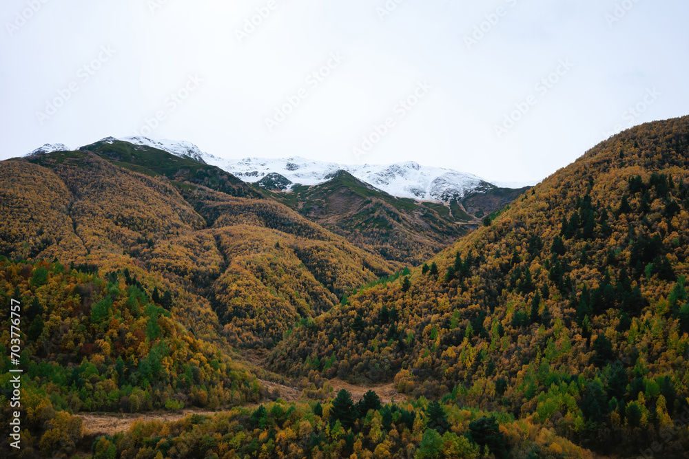 Snow-Capped Peaks Over Autumn Forest - A serene landscape where the first snow meets the warm colors of fall.