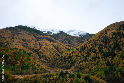 Snow-Capped Peaks Over Autumn Forest - A serene landscape where the first snow meets the warm colors of fall.