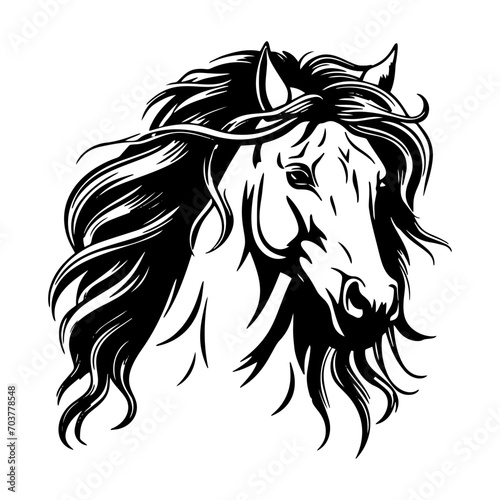 Portrait of a horse on white background 