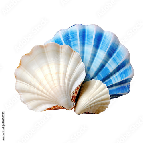 Blue seashells Isolated on transparent background