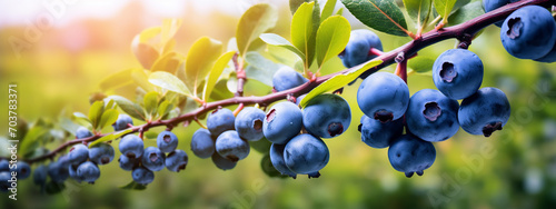 blueberries ripe on the branch.Generative AI