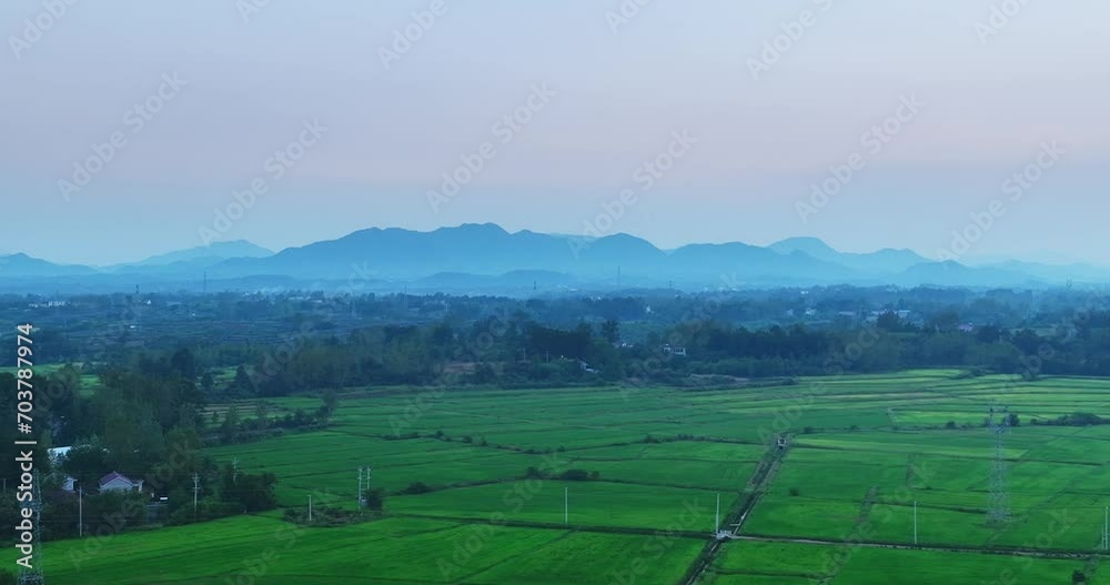 country field in the evening country field in the evening