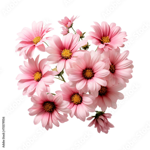 Gorgeous pink flowers bloom outside with loved ones isolated on transparent background © Tohamina