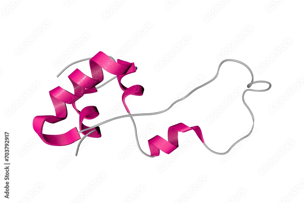 NMR Structure of Proinsulin. Ribbons diagram in secondary structure ...