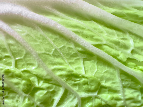 Texture of fresh green savoy cabbage leaf closeup.