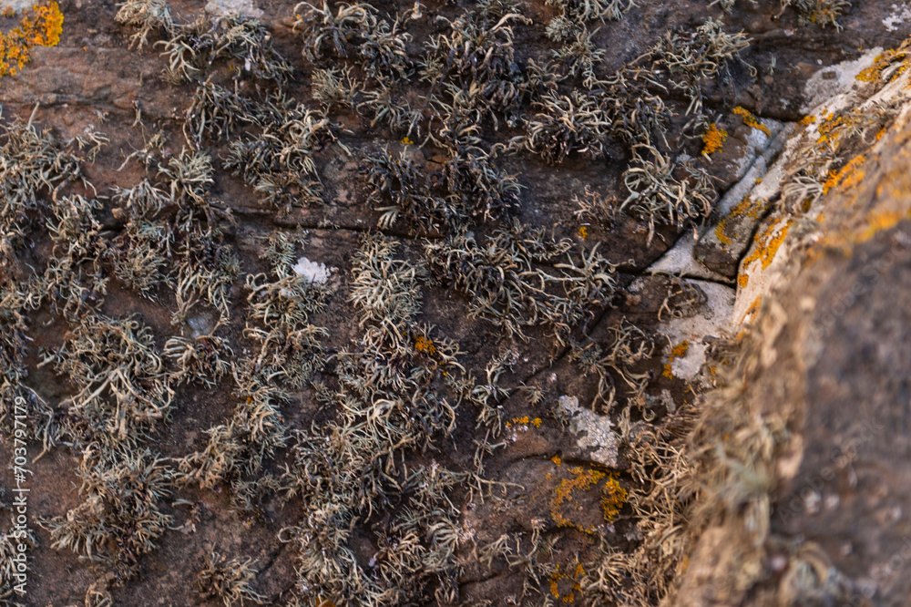 imagen detalle textura piedra con grietas y rugosidades imagen detalle textura piedra con grietas y rugosidades