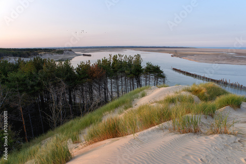 Sand dunes in the Authie bay. Hauts-de-France region