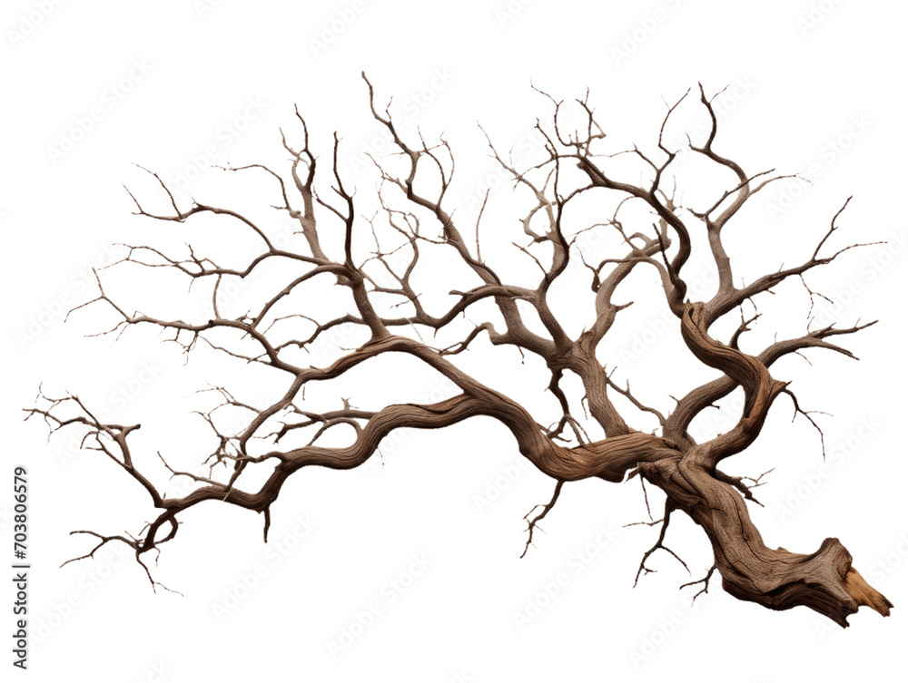 tree silhouette isolated on white tree silhouette isolated on white