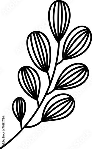 Botanical Floral Hand Drawn Line Art