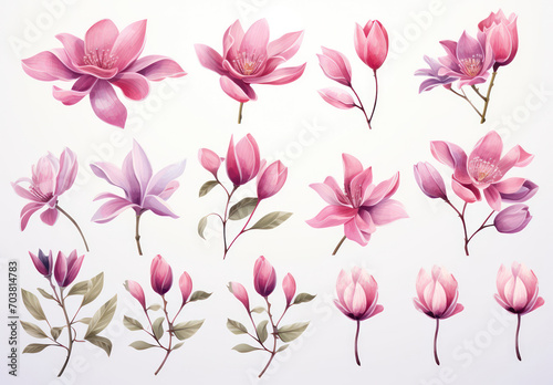 Delicate Pink Magnolia Blossom in a Botanical Garden: A Romantic Watercolor Illustration on a Floral Invitation Card