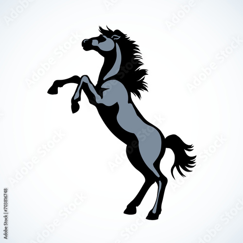 Horse began to buck. Vector drawing
