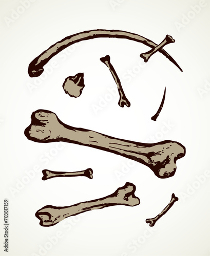 Series of vector illustrations of archaeological finds. Animal bones and fish hooks from bone