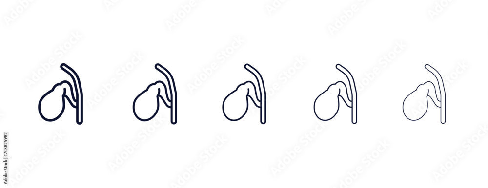 gallbladder outline icon. Black, bold, regular, thin, light icon from medical collection. Editable vector isolated on white background - obrazy, fototapety, plakaty 