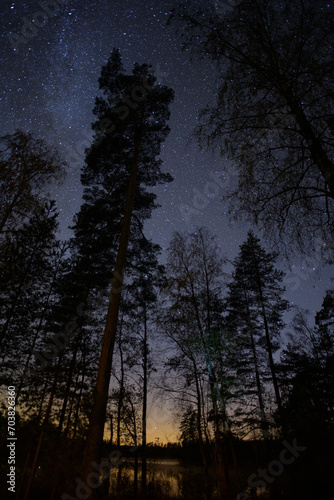 sunset and a starry night sky in the woods © LifeInViewfinder