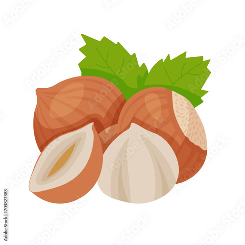 Hazelnut clipart. Isolated handful of whole nuts. Cartoon illustration