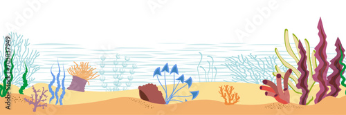 Seamless underwater panorama on white background. Vector illustration.