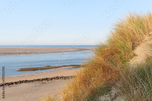 Fototapeta Naklejka Na Ścianę i Meble -  Sand dunes in the Authie bay. Hauts-de-France region