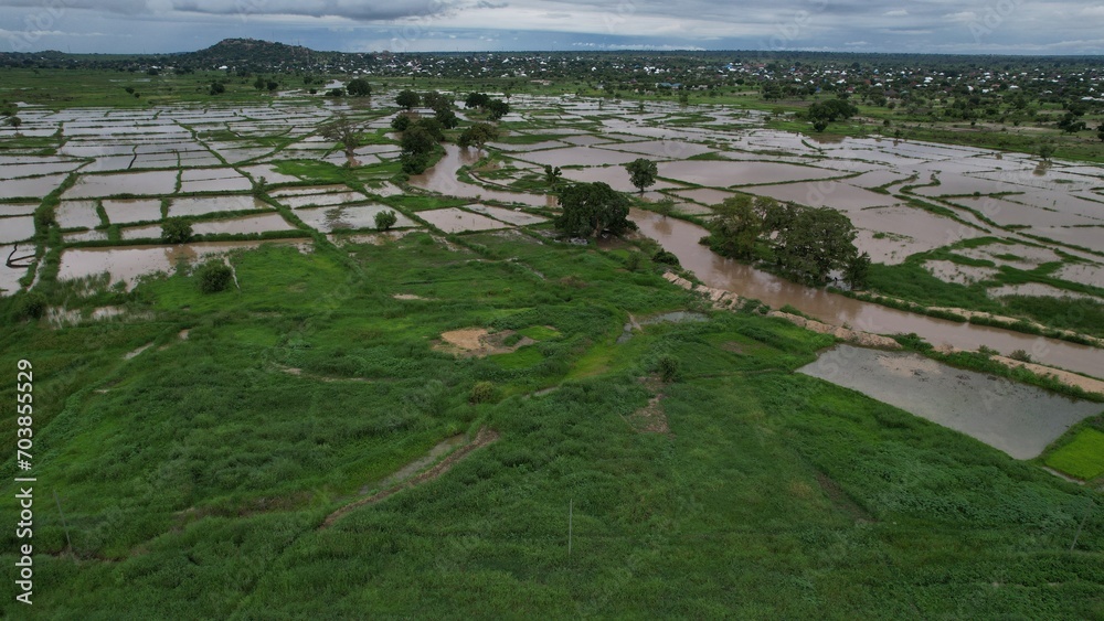 aerial view of the river and rice farm