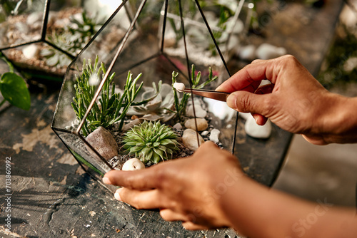 Close-up photo of hands holding tweezers with white stones and placing them in a composition of glass geometric florarium container with succulents, moss, cactus and plants. Home living plant decor.