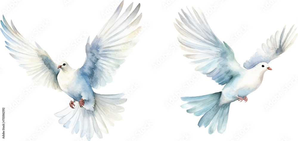 watercolor of dove bringing peace watercolor of dove bringing peace