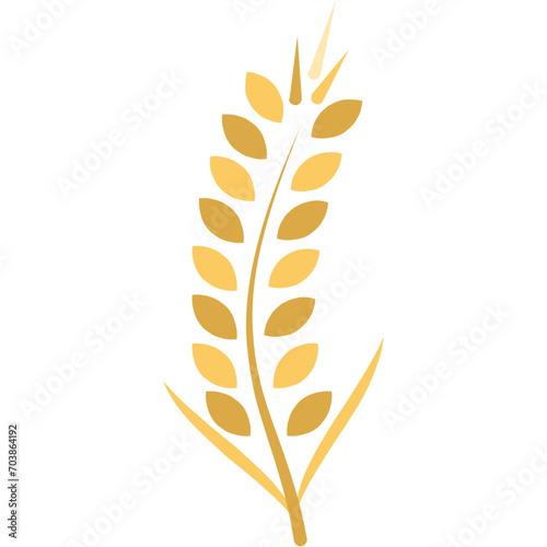 Wheat